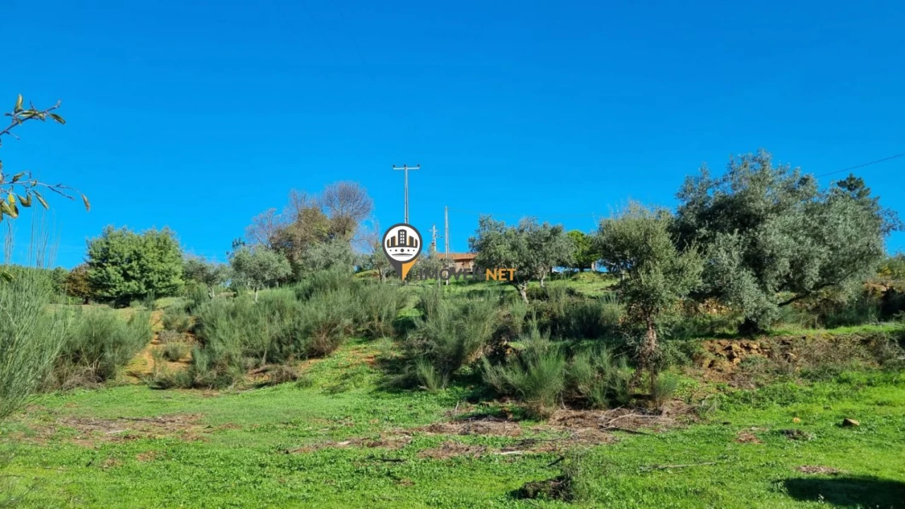 Terreno para Venda em Fundão, Valverde, Donas, A. Joanes, A. Nova Cabo Foto 24