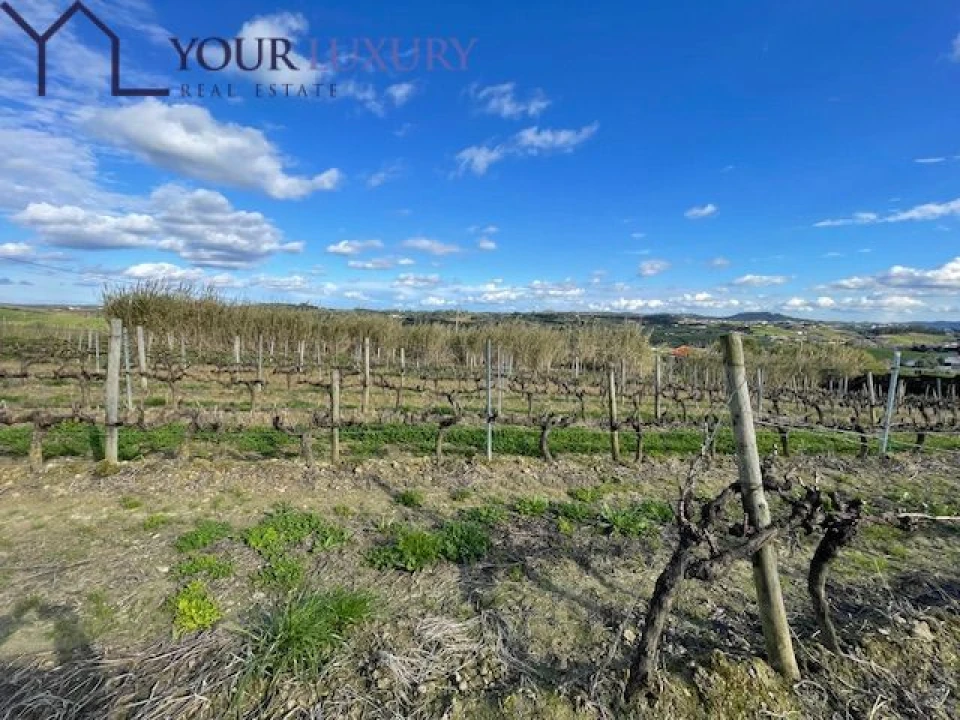 Terreno para Venda em Ventosa Foto 6