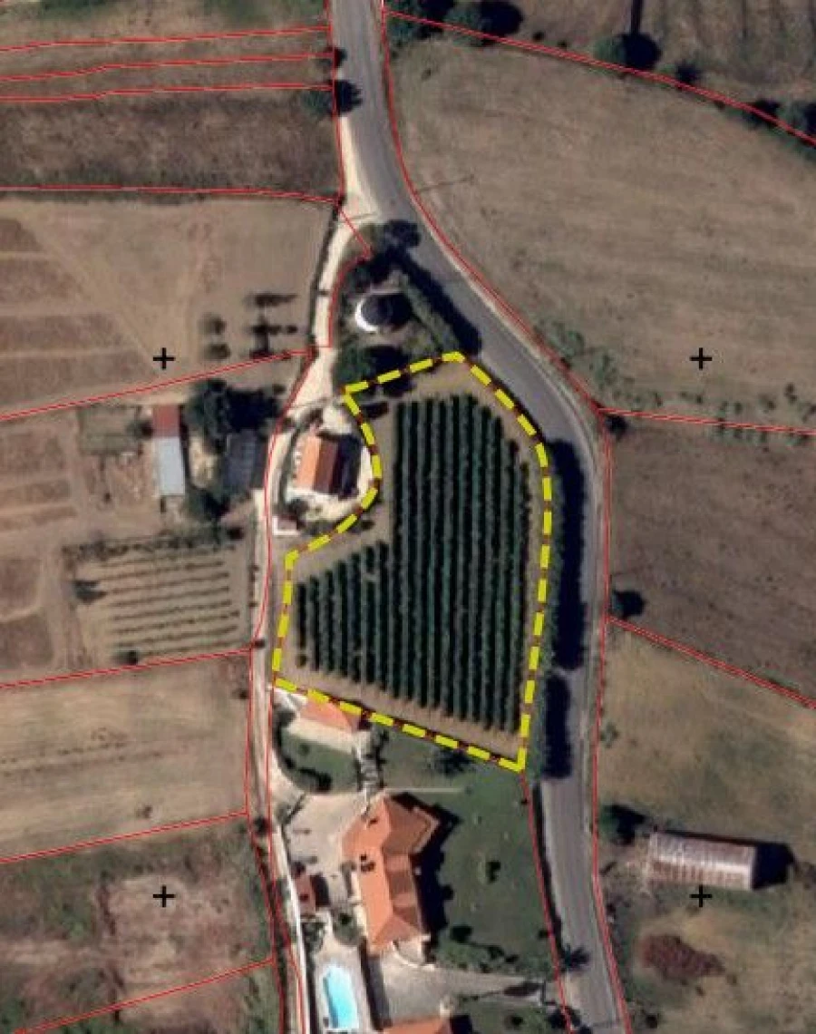 Terreno para Venda em Ventosa Foto 29