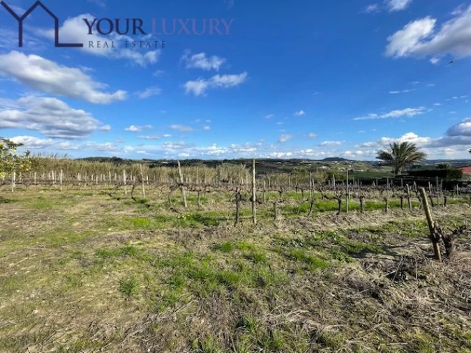 Terreno para Venda em Ventosa Foto 3