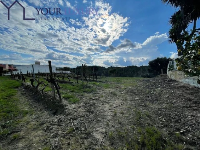 Terreno para Venda em Ventosa Foto 10