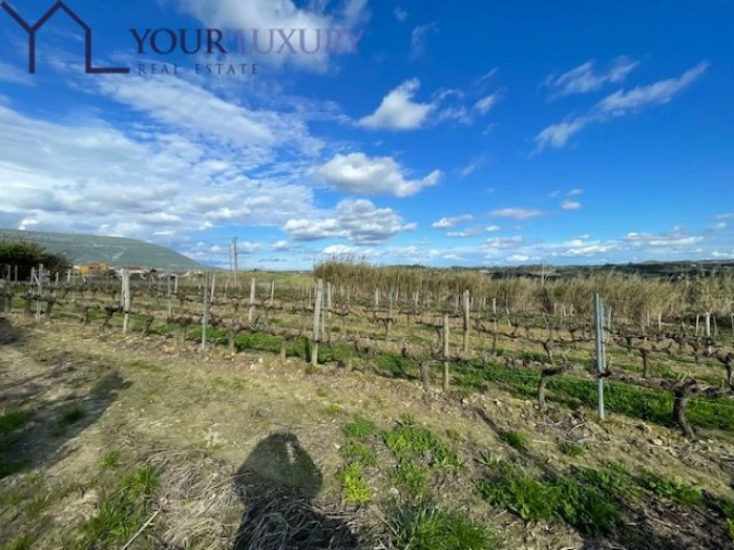 Terreno para Venda em Ventosa Foto 5