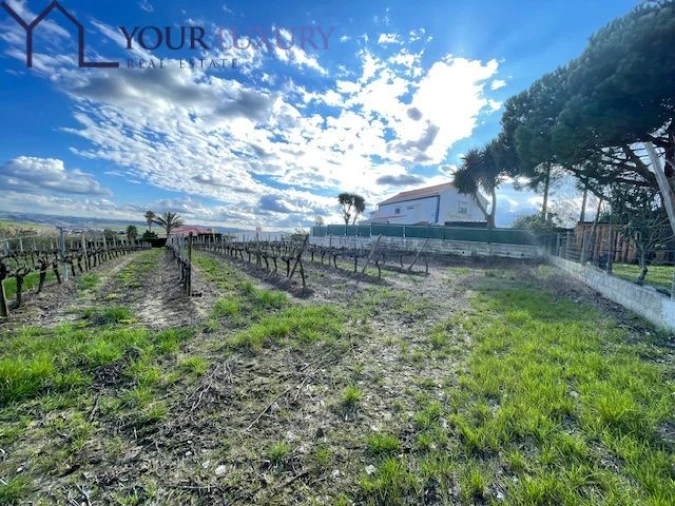 Terreno para Venda em Ventosa Foto 25