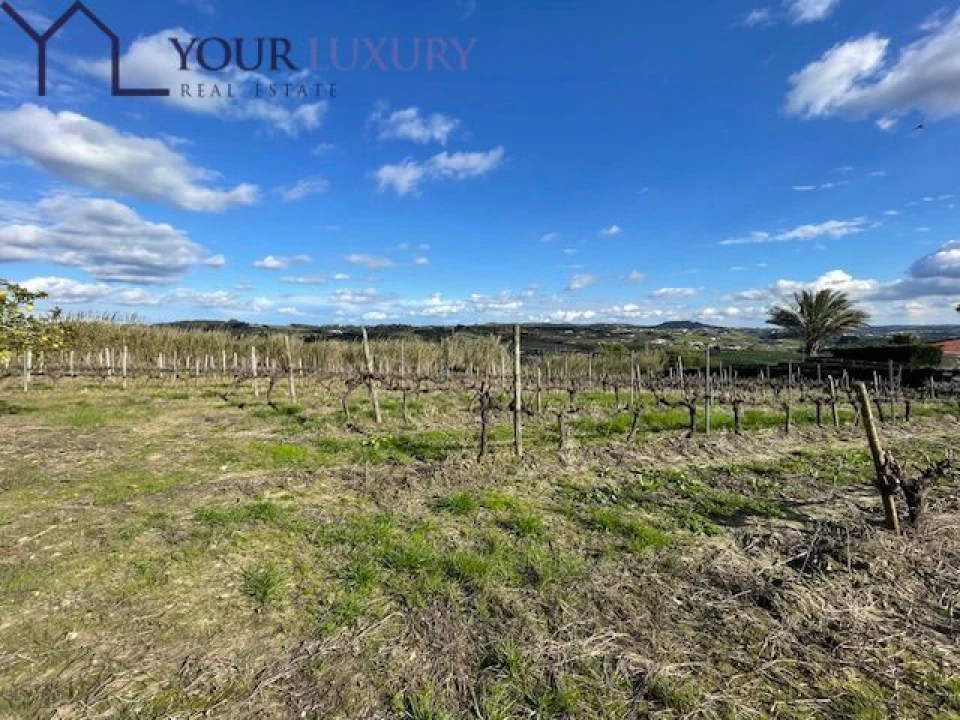 Terreno para Venda em Ventosa Foto 3