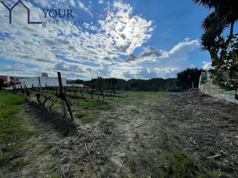 Terreno para Venda em Ventosa Foto 10