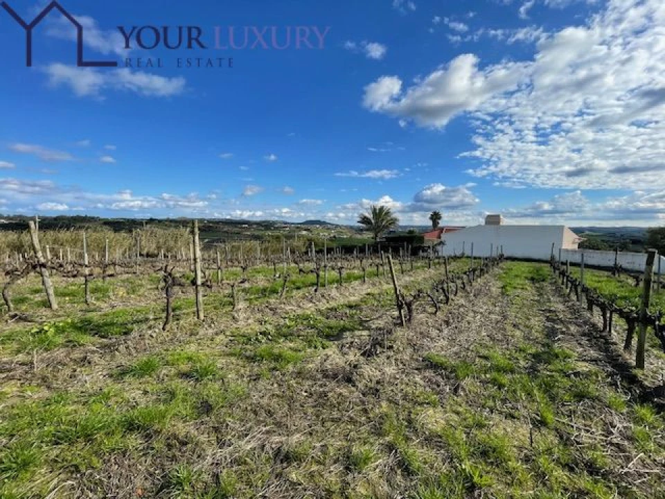 Terreno para Venda em Ventosa Foto 2