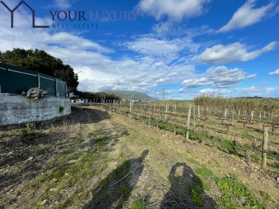 Terreno para Venda em Ventosa Foto 4