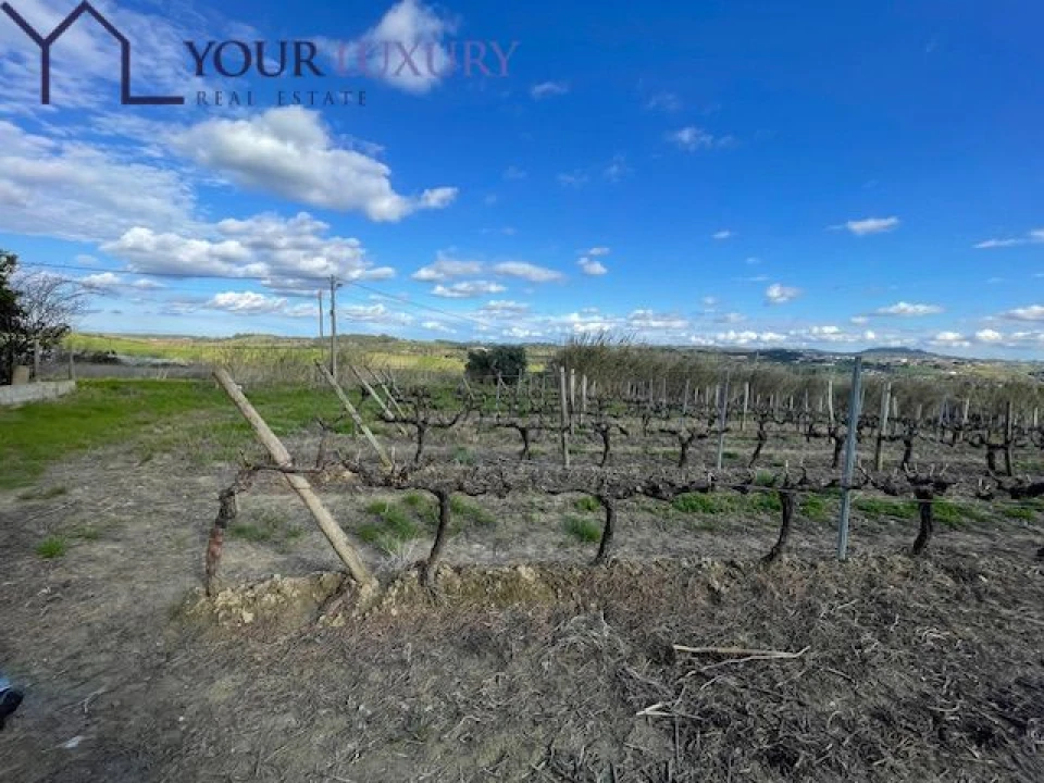 Terreno para Venda em Ventosa Foto 15