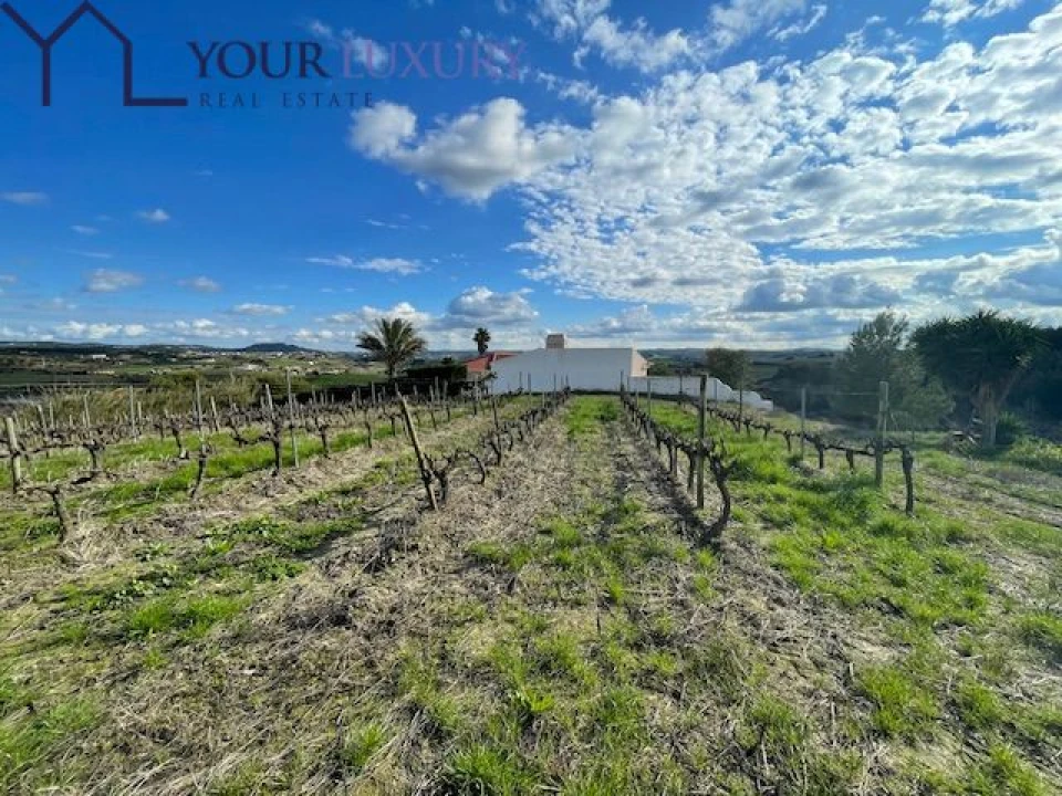 Terreno para Venda em Ventosa Foto 1