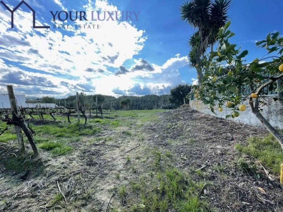 Terreno para Venda em Ventosa Foto 12