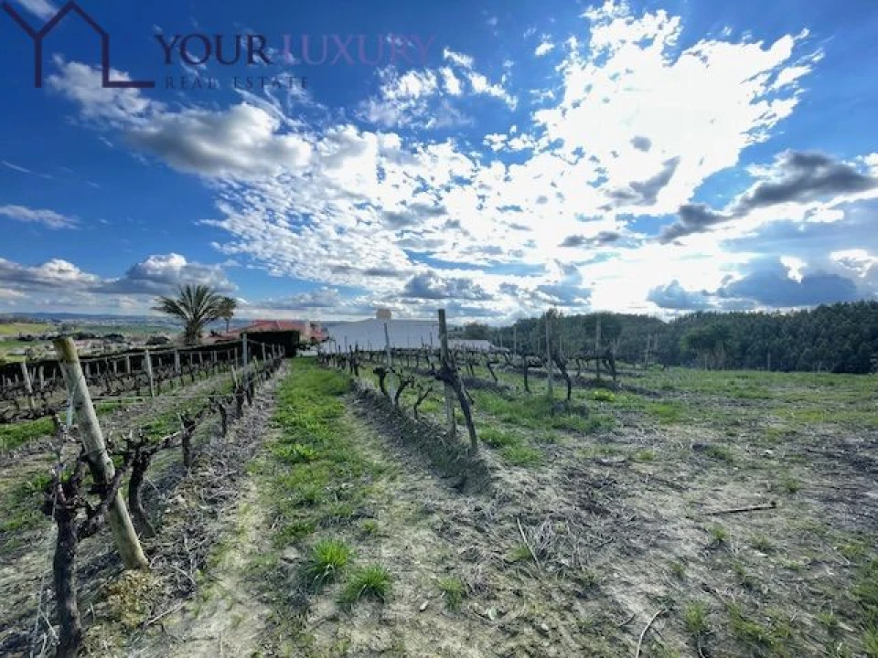 Terreno para Venda em Ventosa Foto 14