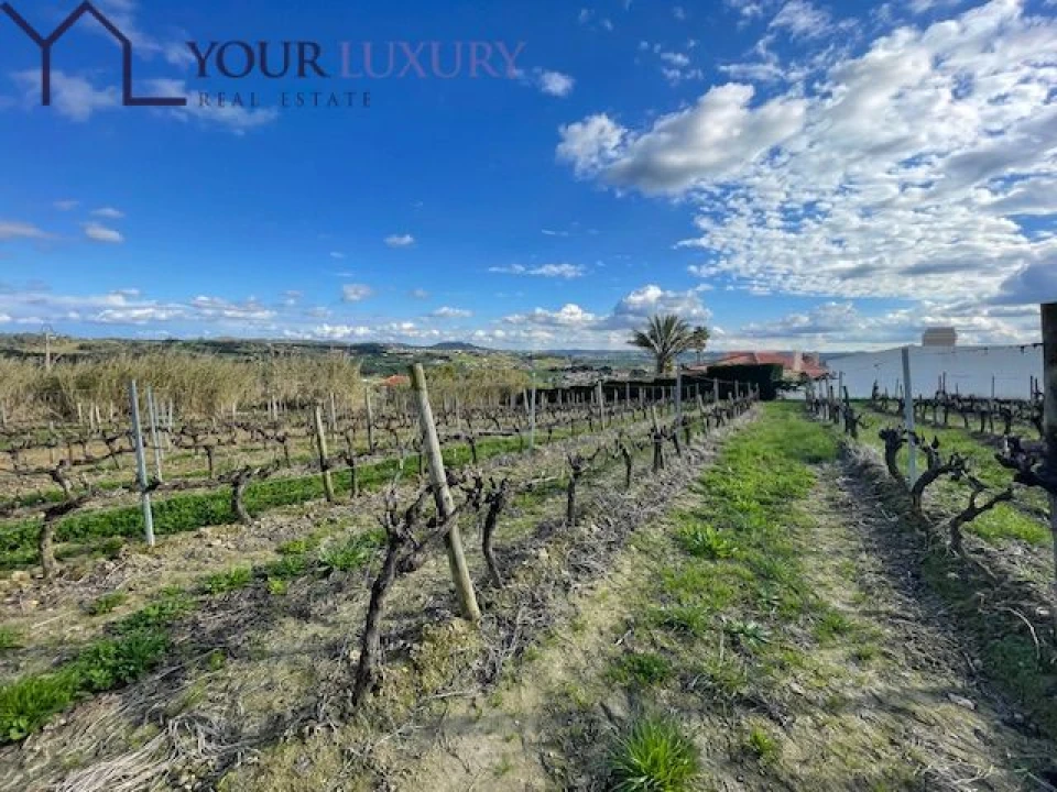 Terreno para Venda em Ventosa Foto 8