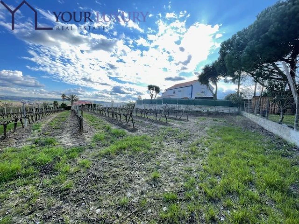 Terreno para Venda em Ventosa Foto 21