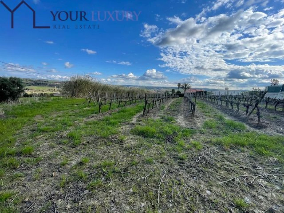 Terreno para Venda em Ventosa Foto 18