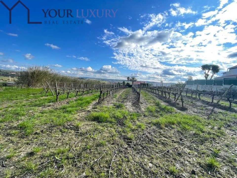 Terreno para Venda em Ventosa Foto 27