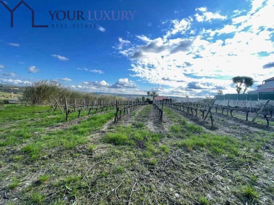 Terreno para Venda em Ventosa Foto 24