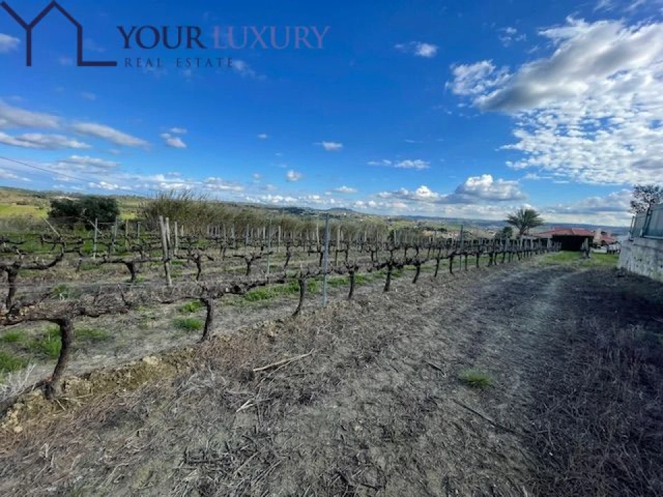 Terreno para Venda em Ventosa Foto 16