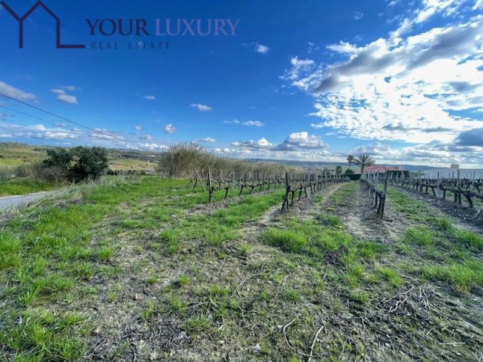 Terreno para Venda em Ventosa Foto 23