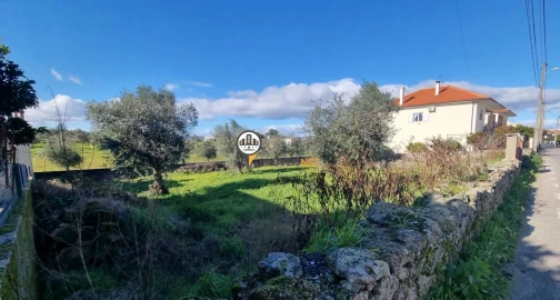 Terreno para Venda em Castelo Branco