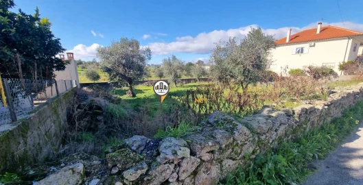 Terreno para Venda em Castelo Branco