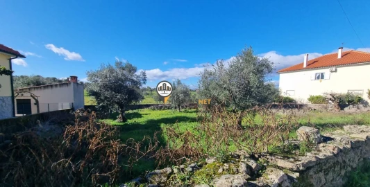 Terreno para Venda em Castelo Branco