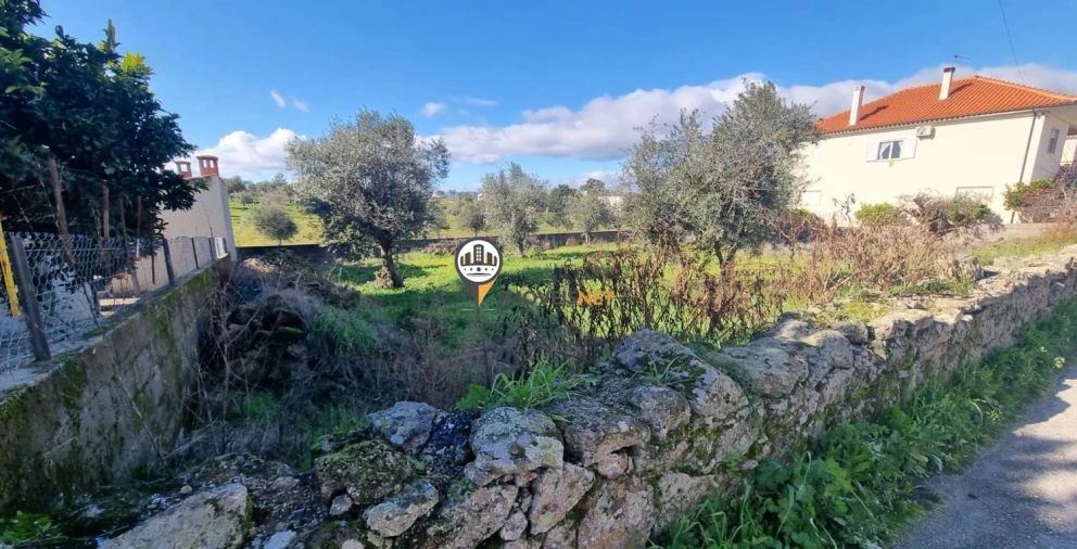 Terreno para Venda em Castelo Branco Foto 4