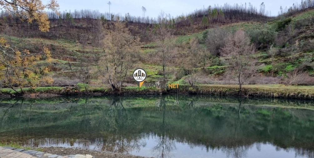 Terreno para Venda em Proença-A-Nova e Peral Foto 10
