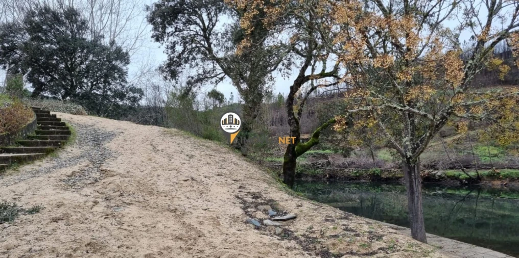 Terreno para Venda em Proença-A-Nova e Peral Foto 13