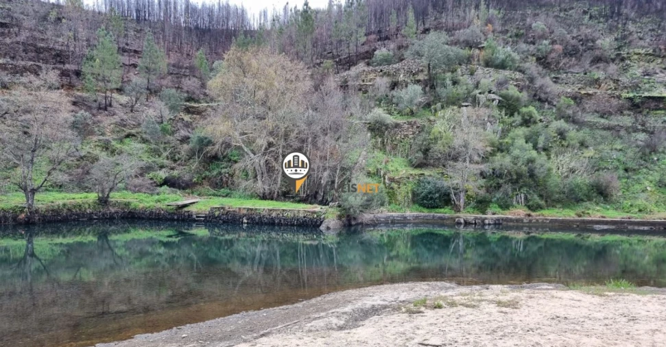 Terreno para Venda em Proença-A-Nova e Peral Foto 3