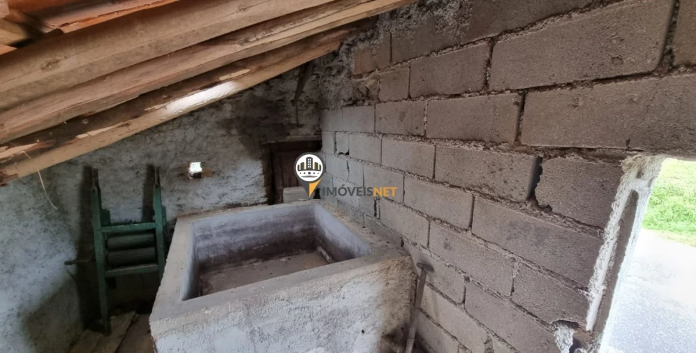 Terreno para Venda em Proença-A-Nova e Peral Foto 5