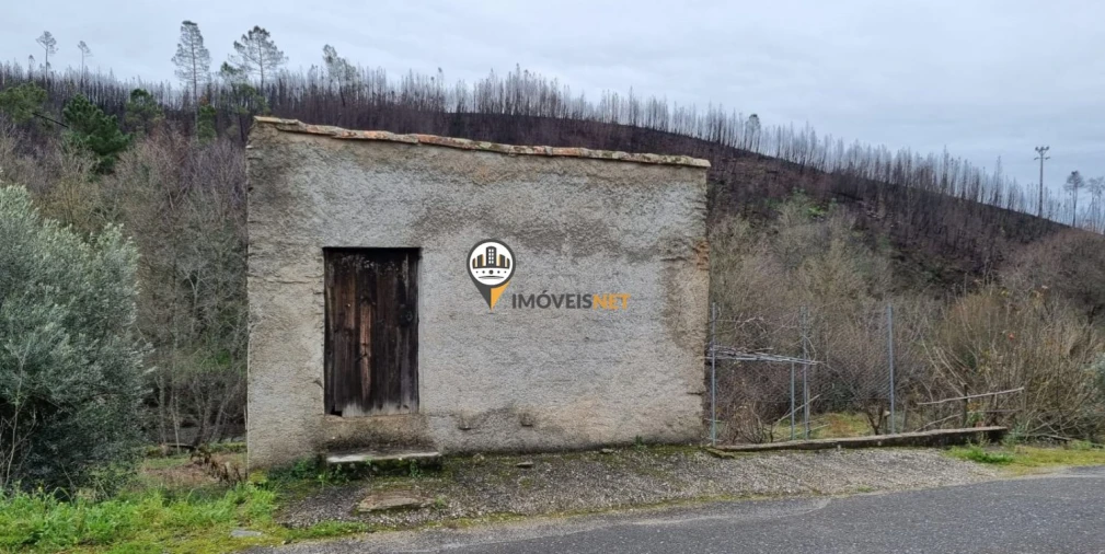 Terreno para Venda em Proença-A-Nova e Peral Foto 4