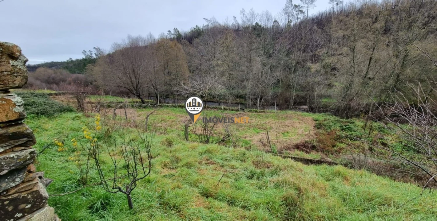 Terreno para Venda em Proença-A-Nova e Peral Foto 9