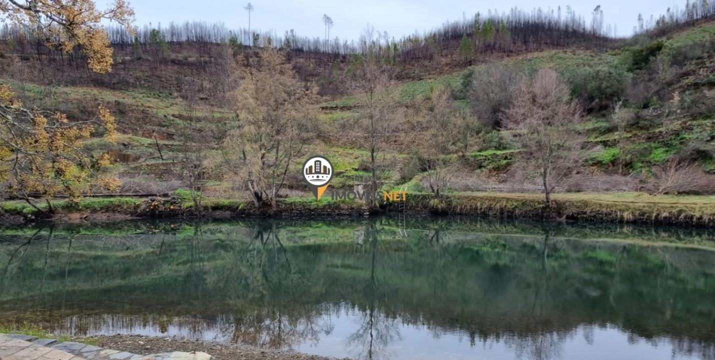 Terreno para Venda em Proença-A-Nova e Peral Foto 10