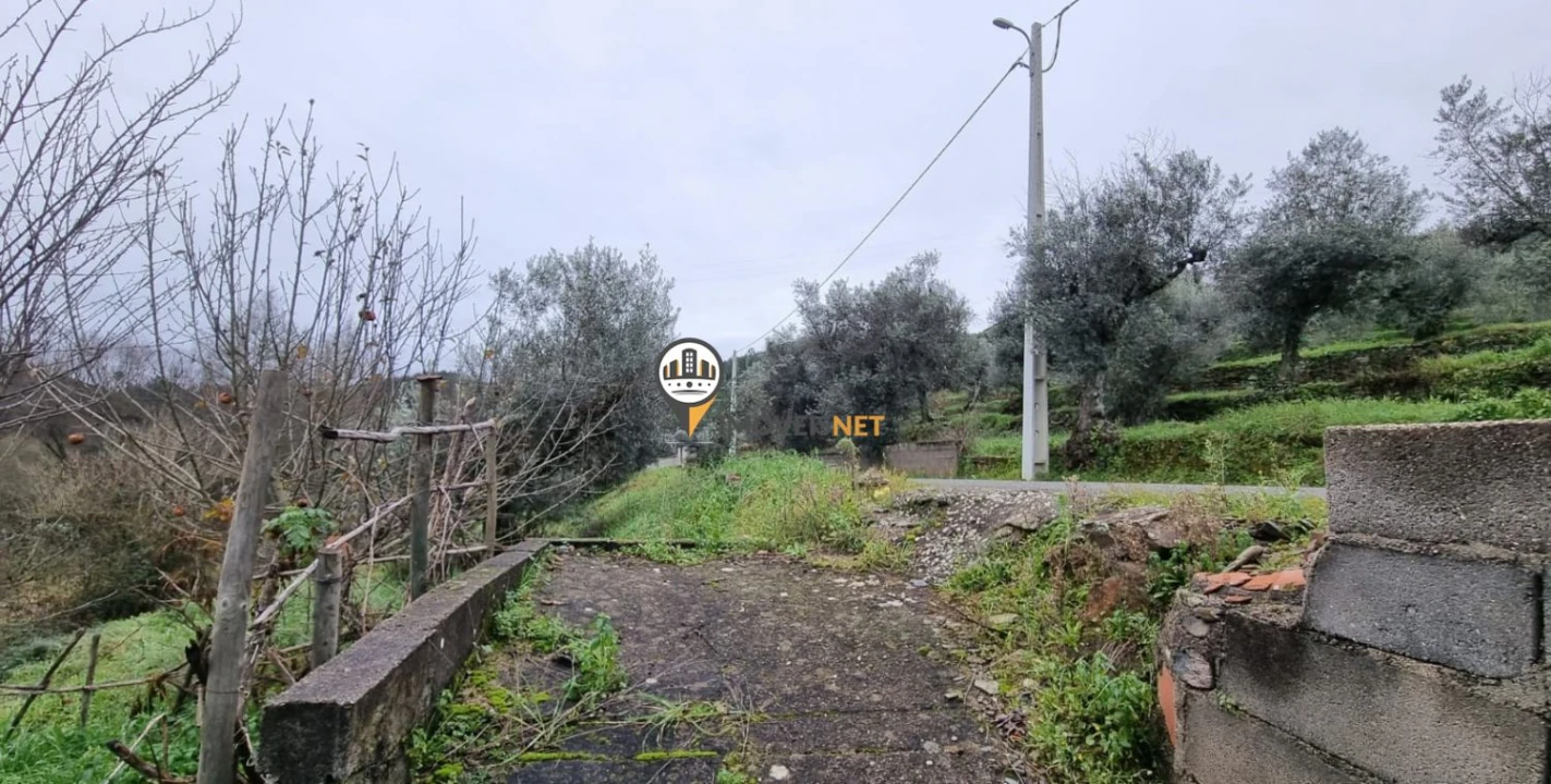 Terreno para Venda em Proença-A-Nova e Peral Foto 11