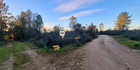 Terreno para Venda em Benquerenças