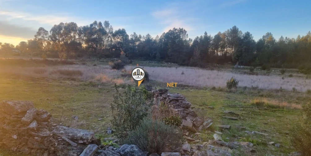Terreno para Venda em Benquerenças