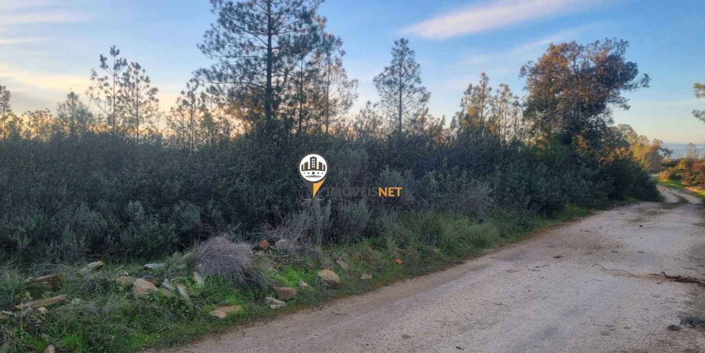 Terreno para Venda em Benquerenças Foto 5