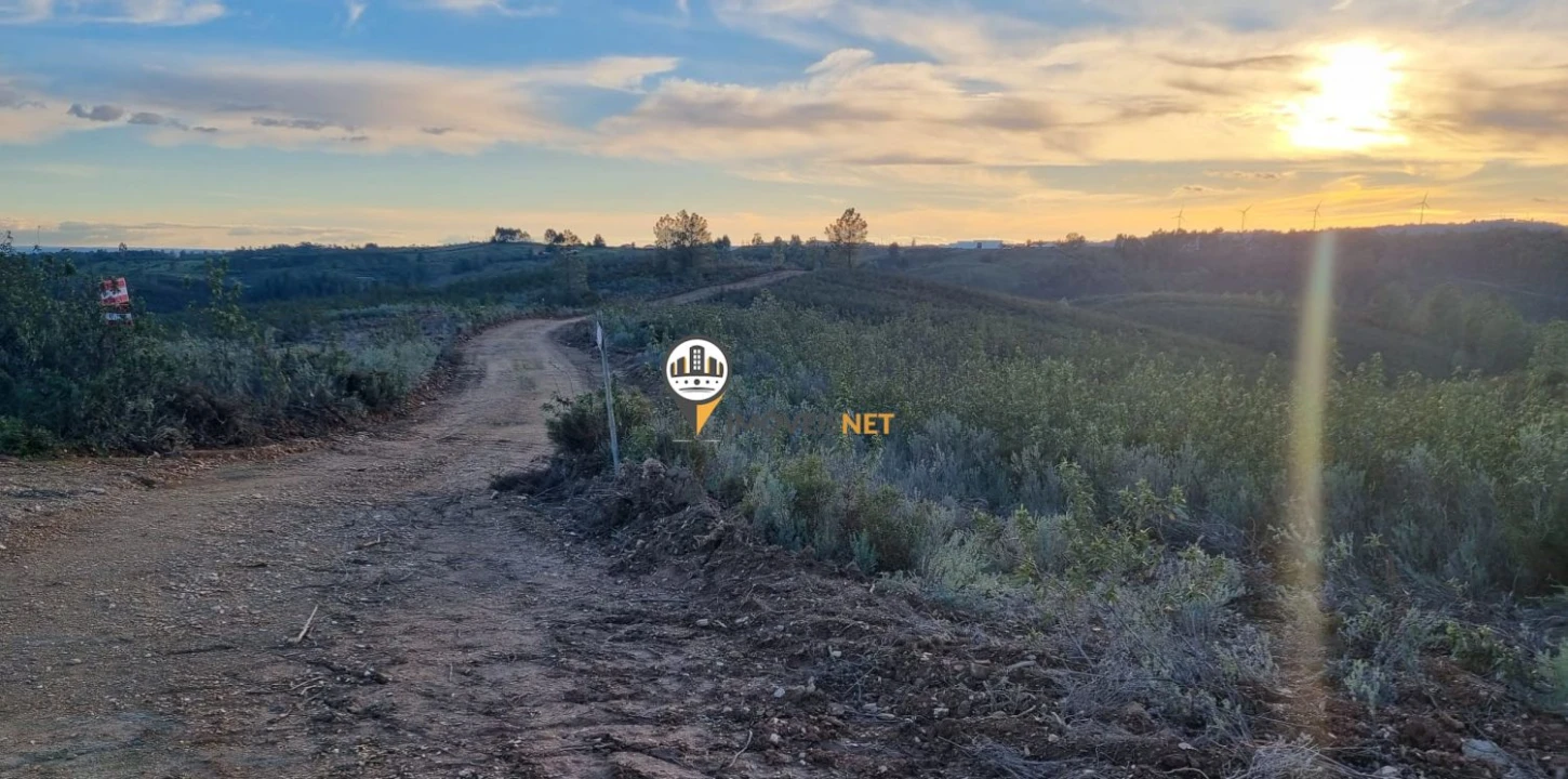 Terreno para Venda em Benquerenças Foto 1