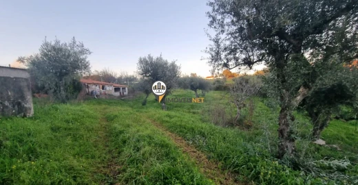 Terreno para Venda em Castelo Branco