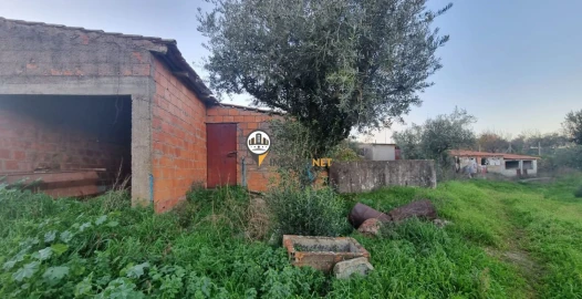 Terreno para Venda em Castelo Branco