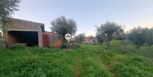 Terreno para Venda em Castelo Branco