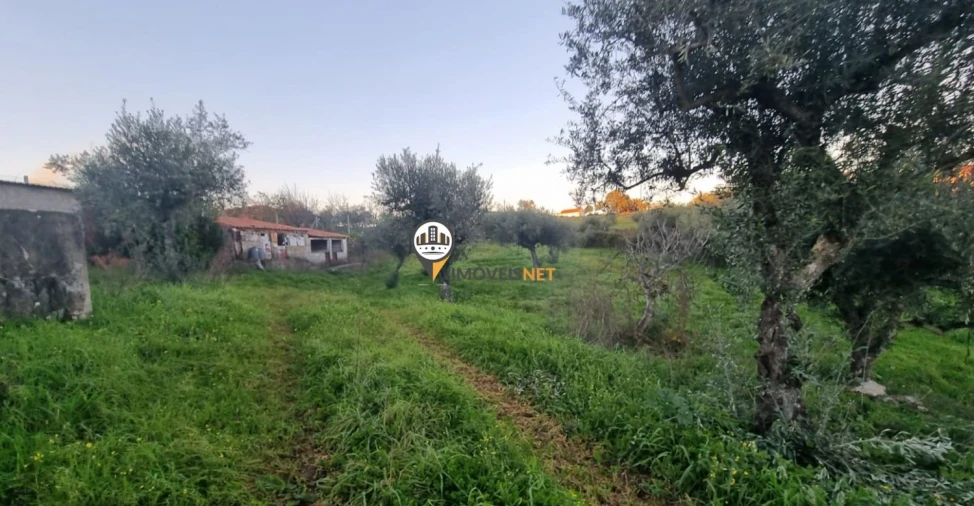 Terreno para Venda em Castelo Branco Foto 11