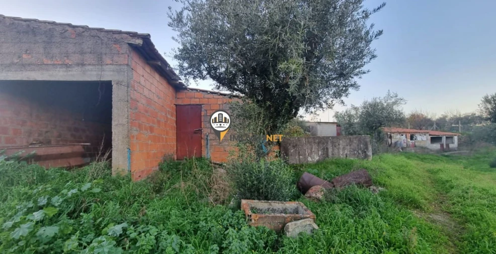Terreno para Venda em Castelo Branco Foto 4