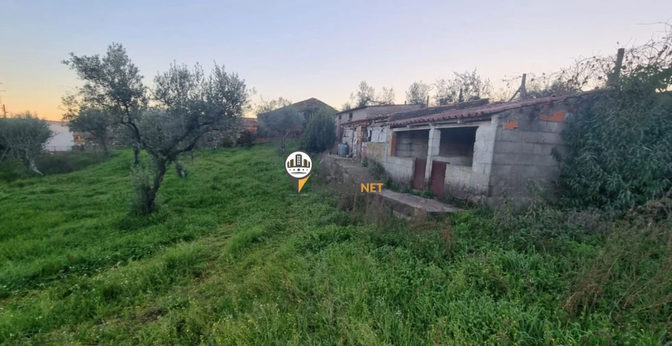 Terreno para Venda em Castelo Branco Foto 6