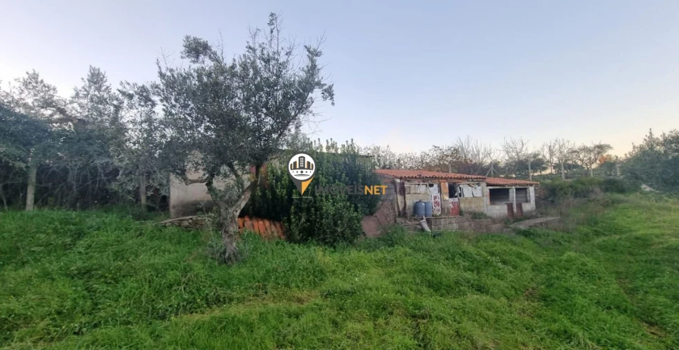 Terreno para Venda em Castelo Branco Foto 7