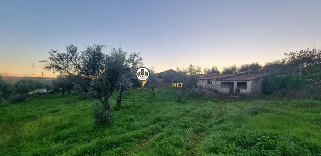 Terreno para Venda em Castelo Branco Foto 5