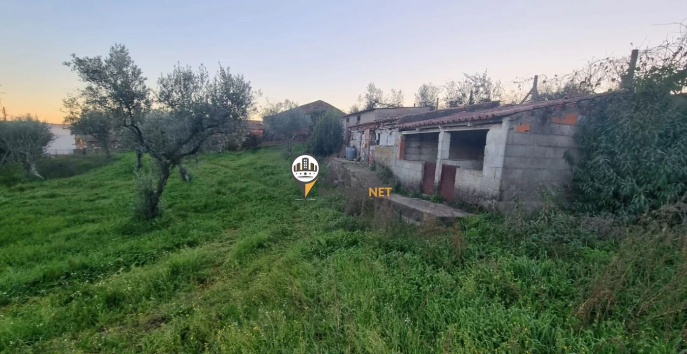 Terreno para Venda em Castelo Branco Foto 6