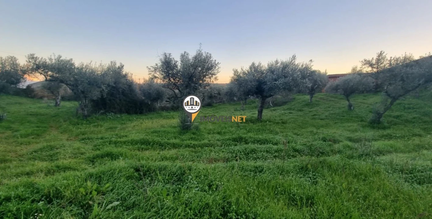 Terreno para Venda em Castelo Branco Foto 8