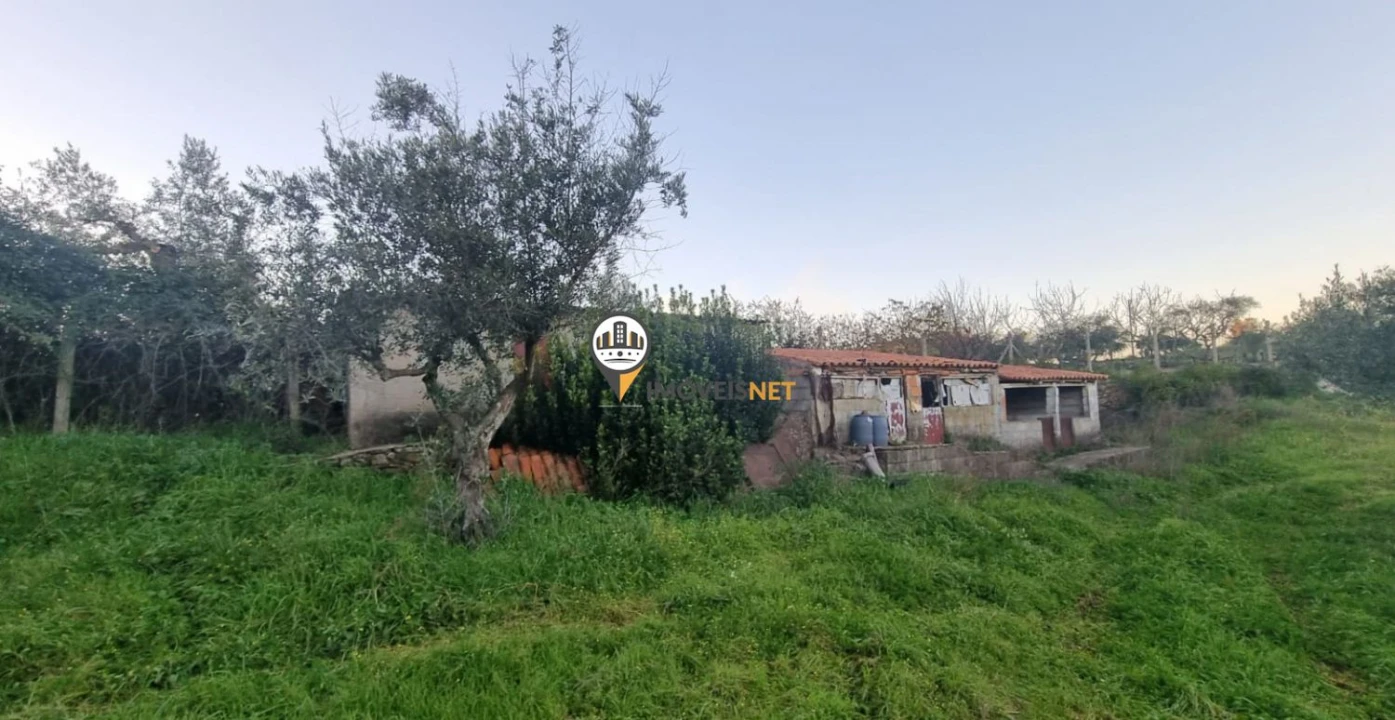 Terreno para Venda em Castelo Branco Foto 7