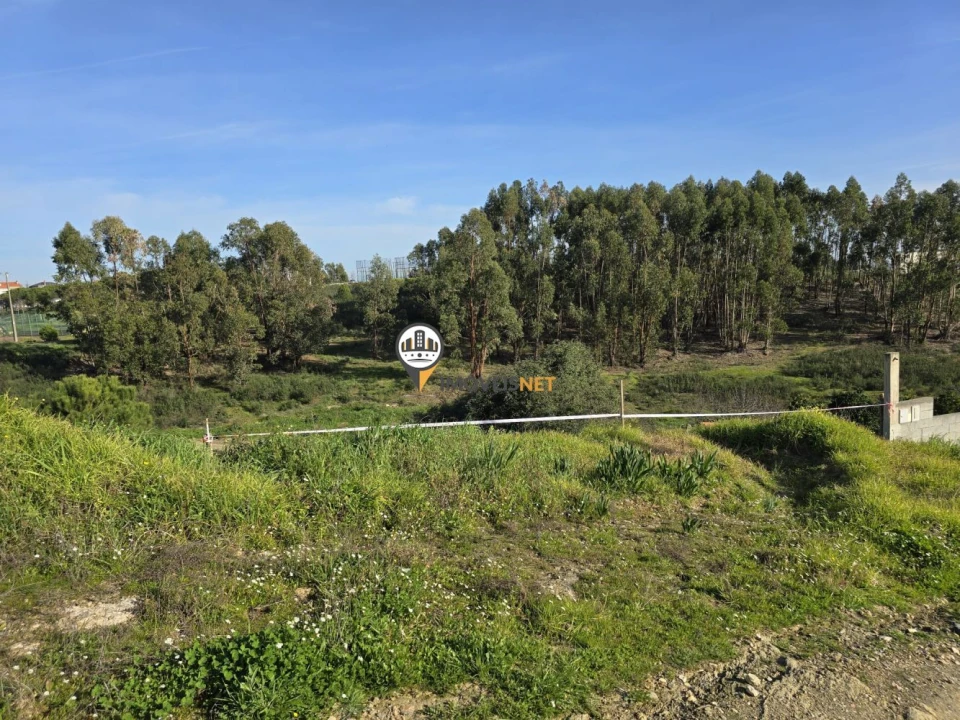 Terreno para Venda em Castelo Branco Foto 3